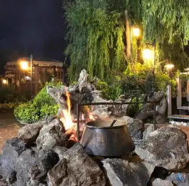 عکس کافه رستوران نویان، چمن کرج 4