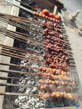 عکس کبابی علی اصغر توانا در بزرگراه جهرم شیراز 7
