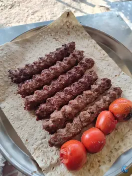 عکس کبابی علی اصغر توانا در بزرگراه جهرم شیراز 9