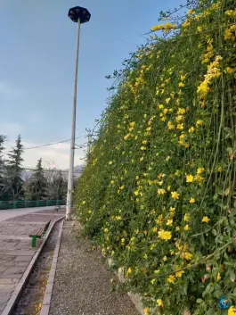 عکس پارکینگ نهج البلاغه تهران 6