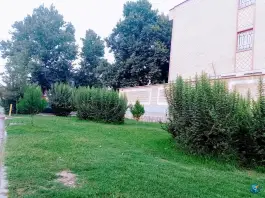 عکس بوستان پردیس محله امیرالمومنین کوهدشت 2