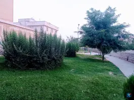 عکس بوستان پردیس محله امیرالمومنین کوهدشت 4