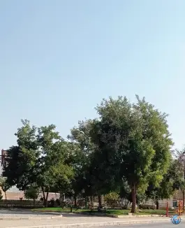 عکس بوستان پردیس محله امیرالمومنین کوهدشت 9