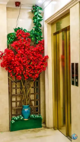 عکس هتل مدینه المعصومه در محله ارم قم 4