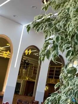 عکس رستوران بزرگ سه ستاره دهگلان 2