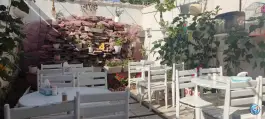 عکس جگر و کباب گوسفندی امید «مپلو» محله امیریه بجنورد 3