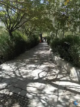عکس پارک آبی کاخک در گناباد 6