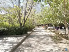 عکس پارک آبی کاخک در گناباد 8