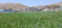 عکس استادیوم و استخر 17 شهریور بیجار 2