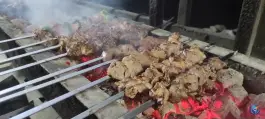 عکس مستر جیگر در خرمدشت کرج 10