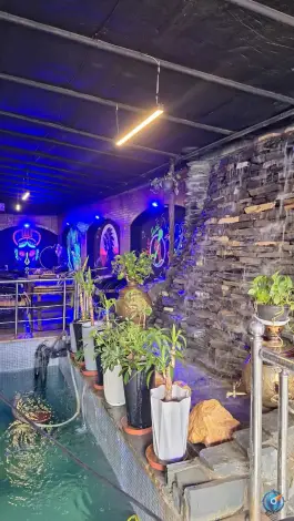 عکس باغ رستوران مانا لانژ، انرژی اتمی، اصفهان 4