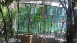 عکس اقامتگاه بومگردی خانه باغ ایرانی شیراز در محله مشیر شرقی شیراز 4