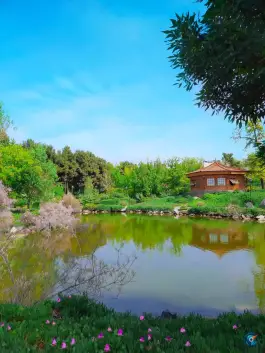 عکس مجموعه تفریحی گیاهشناسی باغ مشهد، بلوار جمهوری اسلامی، مشهد 3