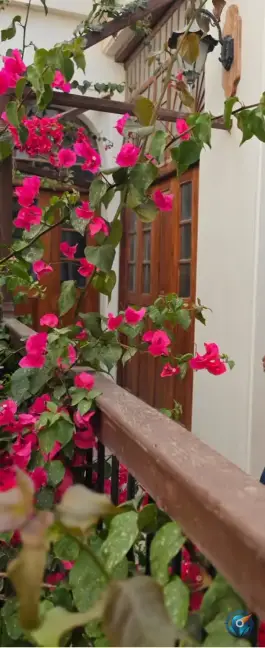 عکس عمارت تاریخی مهربان در بافت قدیم بوشهر 4