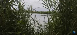 عکس استخر پیرپشته سلطان مرادی لنگرود 7