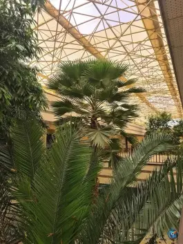 عکس دانشکده مهندسی معماری و شهرسازی، خوراسگان، اصفهان 4