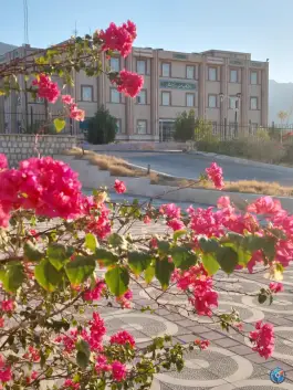 عکس دانشگاه پیام نور کنگان در شهرک معلم 2