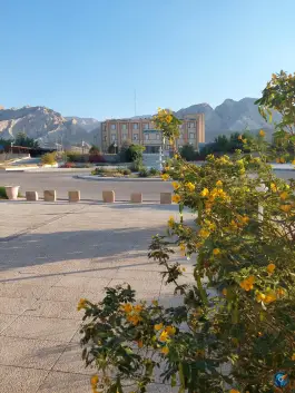 عکس دانشگاه پیام نور کنگان در شهرک معلم 4