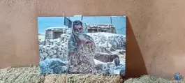 عکس عمارت صدر در محله ابن سینا سیرجان 7