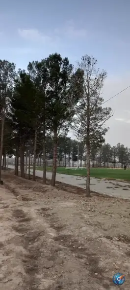 عکس مجموعه ورزشی شهید یزدخواستی در بلوار شهید منصور ستاری اصفهان 3