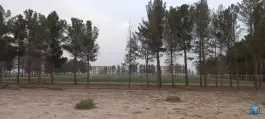 عکس مجموعه ورزشی شهید یزدخواستی در بلوار شهید منصور ستاری اصفهان 5