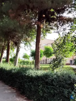 عکس دانشگاه خوارزمی در حصارک کرج 4