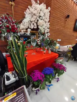 عکس جگرکی جیگر میگر در محله هنرستان مشهد 9