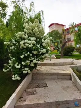 عکس دانشگاه علوم پزشکی اراک پردیس پیامبر اعظم (ص) در شهرک اندیشه اراک 7