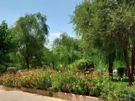 عکس دانشگاه علوم پزشکی اراک پردیس پیامبر اعظم (ص) در شهرک اندیشه اراک 9
