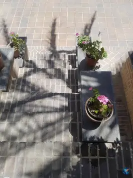 عکس عمارت ملوکانه در محله فردوسی تهران 10