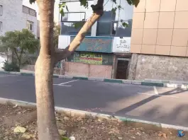 باشگاه ورزشی آنیتا در پونک شمالی تهران