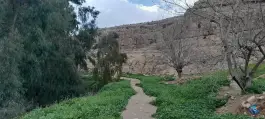عکس نقش برجسته ساسانی برم دلک، بلوار ابونصر شرقی، شیراز 6