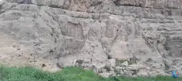 عکس نقش برجسته ساسانی برم دلک، بلوار ابونصر شرقی، شیراز 7