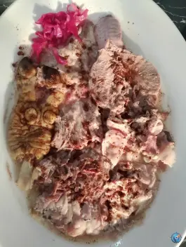عکس طباخی قوچ طلایی در گرمدره کرج 6