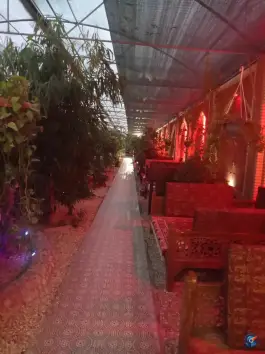 عکس های جگرکی ستاره گلها خمینی شهر