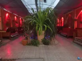 عکس جگرکی ستاره گلها خمینی شهر 2