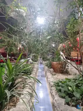 عکس جگرکی ستاره گلها خمینی شهر 3