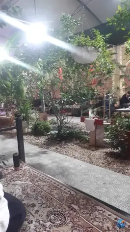 عکس جگرکی ستاره گلها خمینی شهر 4