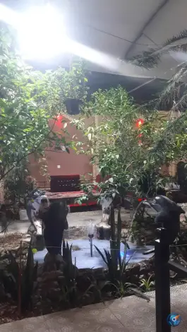 عکس جگرکی ستاره گلها خمینی شهر 5