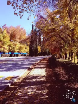 عکس مجتمع آموزشی امام رضا در مرودشت 2