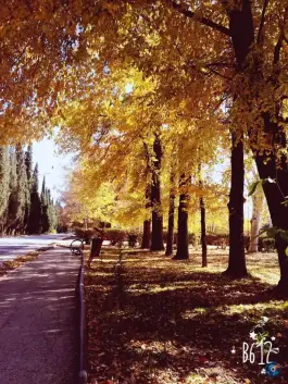 عکس مجتمع آموزشی امام رضا در مرودشت 5