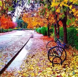 عکس مجتمع آموزشی امام رضا در مرودشت 7