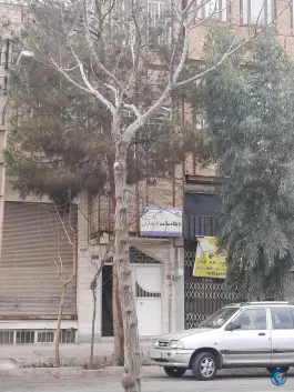 پایگاه سلامت پاسداران، محله چهل درخت قم