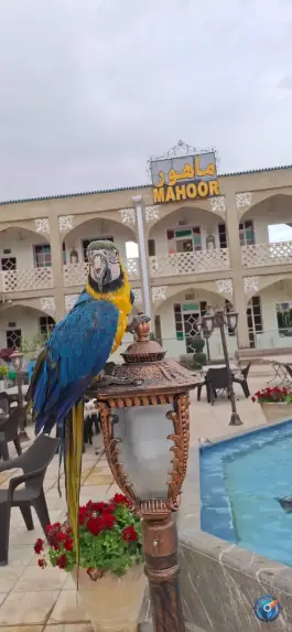 عکس هتل و رستوران ماهور در محله نقش جهان اصفهان 9