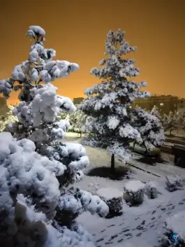 پارک فاز ۸ شهرک دانشگاه، شهرک غرب، تهران