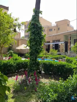 عکس هتل پاسارگاد در محله نقش جهان اصفهان 7