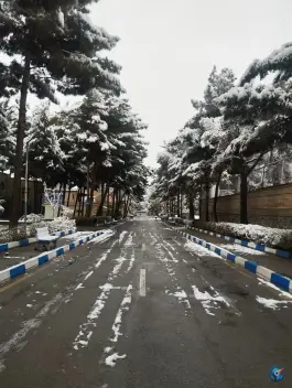 عکس پردیس شهید بهشتی دانشگاه فرهنگیان در محله پیروزی مشهد 4