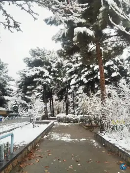 عکس پردیس شهید بهشتی دانشگاه فرهنگیان در محله پیروزی مشهد 6