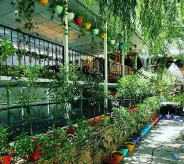عکس مجموعه پذیرایی تیارام در عنبران طرقبه مشهد 4