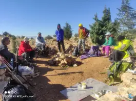 عکس بام شیراز در محله ابیوردی شیراز 9